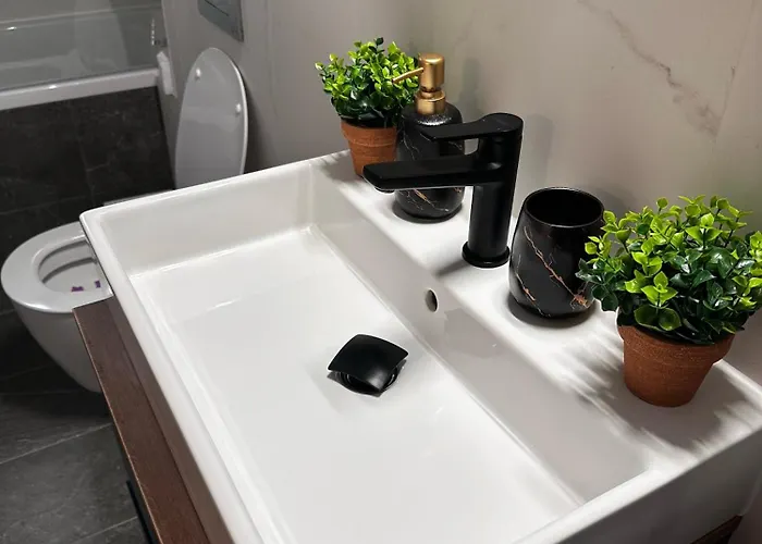 D.c Sky View Apartment Brasov